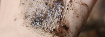 Большой обзор натурального ухода от Спивакъ. Что такое ягодное бельди и как я искупалась в глинтвейне