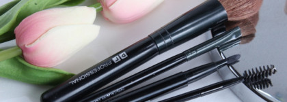 Моя коллекция бюджетных кистей: Luxie, N1, Coastal Scents и другие