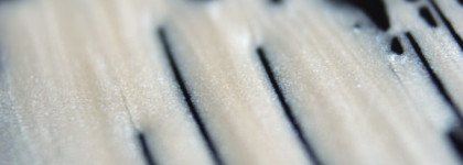 Жидкий хайлайтер Essence Insta Perfect Liquid Highlighter 10