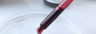 "Кровавый пилинг" и крем для лица с гиалуроновой кислотой от бюджетного бренда The Ordinary