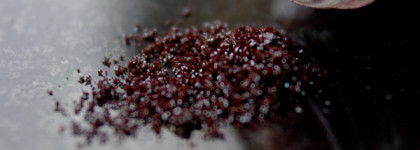 MAC Little Mac Pigment Blue Brown