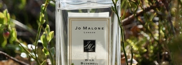 По следам Белоснежки... Jo Malone Wild Bluebell
