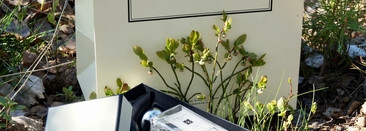 По следам Белоснежки... Jo Malone Wild Bluebell