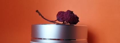 Крем Dr. Sea Moisturizing Cream Oblipicha & Mango Spf15, который пригодится зимой