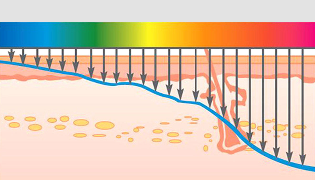 Цвета в нашем восприятии меняются в зависимости от длины волны. Соответсвенно, разные цвета,имея соответсвующую им длину волны, проникают на разную глубину кожных структур. Задействуя различные клетки:кератиноциты, клетки Маркеля, мелоноциты, клетки Лангерганса и прочие.Поглощение клетками дополнительной энергии света несет терапевтический эффект. Исключение составляет УФ излучение, которое не используется в LED масках.