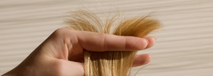 Термозащита мечты Gisou Propolis Infused Heat Protecting Spray