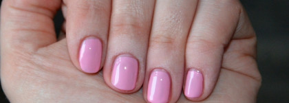 Masu Masu: качество Masura по приятной цене