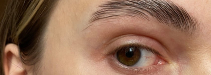 Отличник и двоечник: гель для бровей TopFace Brow Styling Wax vs LN Pro Brow Wax