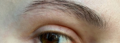 Дрессируем брови: гель сверхсильной фиксации Dresseur от Vivienne Sabo