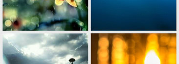 Рецепт дождя, книги Устиновой и Moschino Funny. Взболтать, но не перемешивать