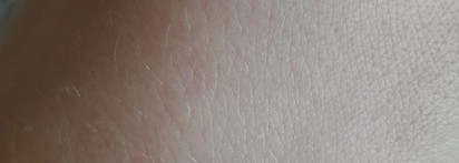 Праймеры: ищем смысл