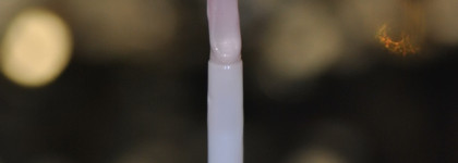 Новинка от Estee Lauder - Double Wear Instant Fix Concealer 24H Concealer+ Hydra Prep водостойкий консилер+праймер