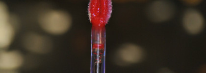 Лаковые блески для губ Michèle от Estrade: когда что-то пошло не так