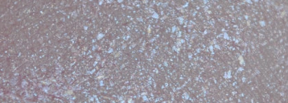 Tokyo Gardens Eye Tint от Giorgio Armani