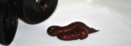 Оттеночный бальзам для волос SYOSS Color Balm - мой опыт окрашивания светлых волос в рубиновый цвет