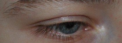 Отращиваем брови с питательным маслом для бровей и ресниц от DNC Pure Care Eyelashes and eyebrows nourishing oil. Отличный результат за 130 рублей