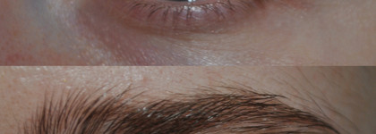 Отращиваем брови с питательным маслом для бровей и ресниц от DNC Pure Care Eyelashes and eyebrows nourishing oil. Отличный результат за 130 рублей