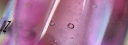 Отличное ухаживающее масло для губ High Gloss Pink Coconut серии PINK от Victoria's Secret