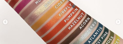 Прекрасная The Flair Palette от Ace Beaute