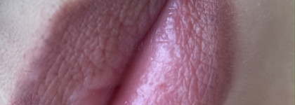 Пост о прекрасных карандашах для губ от Vivienne Sabo в оттенке 102, Pupa true lips в оттенке 004 и об одном весьма спорном блеске от Buxom Full-on lip cream в оттенке White Russian