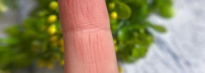 Райский сад с неформальной Венерой, глоток свежести от Lime Crime- Venus XL II Eyeshadow palette