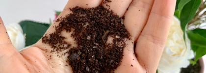 Выбираем Скраб для интенсивного обновления и деликатного очищения