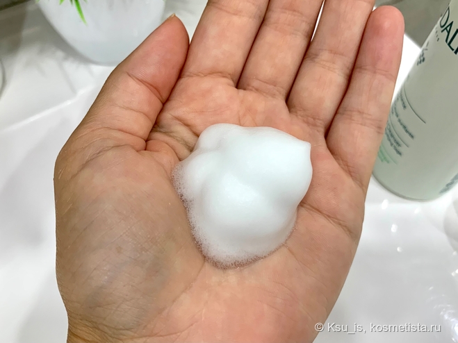 Caudalie, Sammybeauty, Nivea, dove, Черный Жемчуг – выбираем лучший мусс для лица