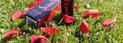 Armand Basi - Scent of Kiss, Eau de Toilette