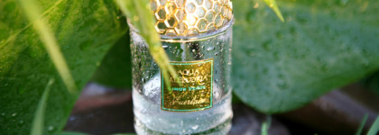 Ледяной коктейль в знойный летний день, Guerlain Aqua Allegoria Limon Verde EDT