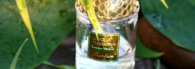 Ледяной коктейль в знойный летний день, Guerlain Aqua Allegoria Limon Verde EDT