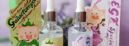 Две корейские хрюшки-сыворотки: Elizavecca Witch Piggy Hell-Pore EGF Special Ample и Elizavecca Witch Piggy Hell-Pore Galactomyces Pure Ample 100% 