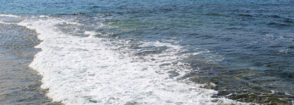 Город вечной весны. Лас-Пальмас-де-Гран-Канария и Victorio & Lucchino №6 Magnolia Sensual