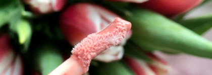 MAC Powerglass Plumping Lip Gloss в оттенках P-Out of Your League, Pouty Face, Marvel at This