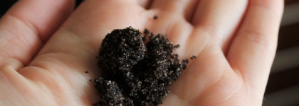 Знакомство с Kamali. Антицеллюлитный и кофейный скрабы для тела