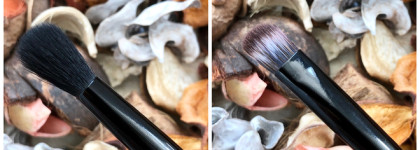 Anastasia Beverly Hills Jackie Aina Eyeshadow Palette и мои впечатления спустя полтора года использования