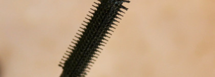 Новинка на рынке: влагостойкая тушь Vivienne Sabo Grand Noire, эффект на коротких прямых ресницах