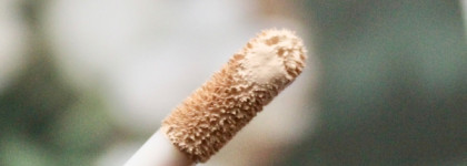 Идеальный плотный консилер найден! Встречайте: Holika Holika Hard Cover Liquid Concealer в оттенке 01 Warm Ivory