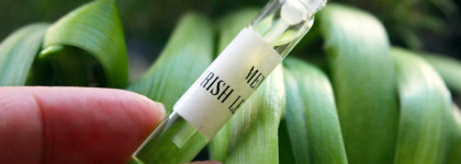 Мой "кожаный экспресс". Часть 1