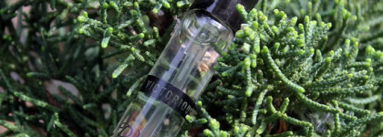 Victorious и Imperial By Patrice Martin: такие разные шипры