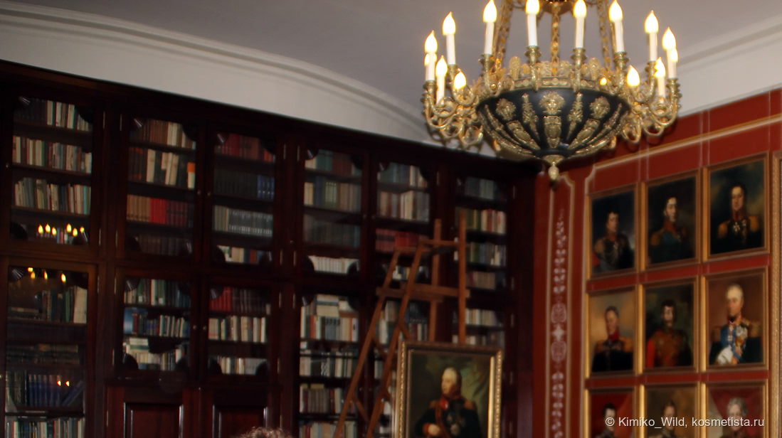 Часть библиотеки Голицынского дворца в Больших Вязёмах (Московская область)