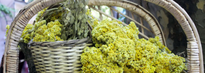 Небольшая прогулка по Стамбулу. На Девичью башню – с Immortelle Manos Gerakinis