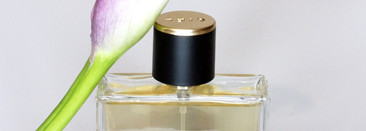 CIEL Fluides Taboo. Если нельзя, но очень хочется, то можно