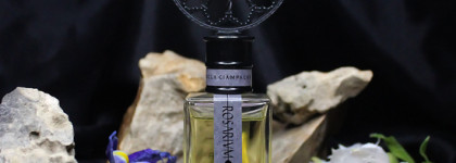 Фавориты года: ароматы, созданные Анджелой Чампанья