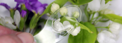 Тоники и крем для лица Art&Fact – мини-подборка для возрастной кожи