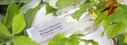 Edgardio Chilini, Madness of Blackcurrant. Приятный и… такой родной