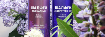 Знакомство с агрофирмой «Тургеневская». Гидролаты «Лаванда» и «Роза»