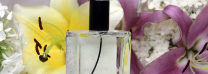 Российская "версионка": в поисках альтернативы