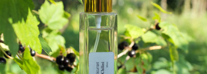 Edgardio Chilini. Это всё он: Сергей Каров