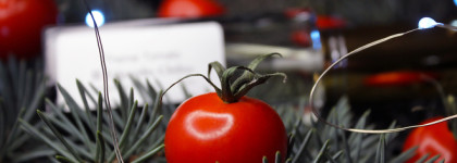 Во саду ли, в огороде… Edgardio Chilini, Theme Tomato