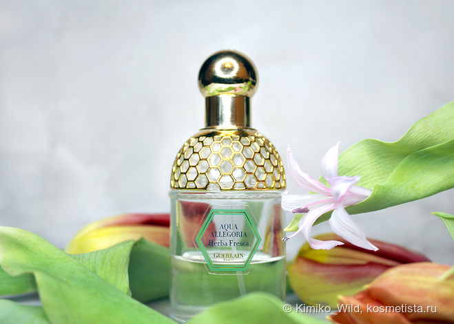 Guerlain, Aqua Allegoria Herba Fresca. Люкс не моей мечты